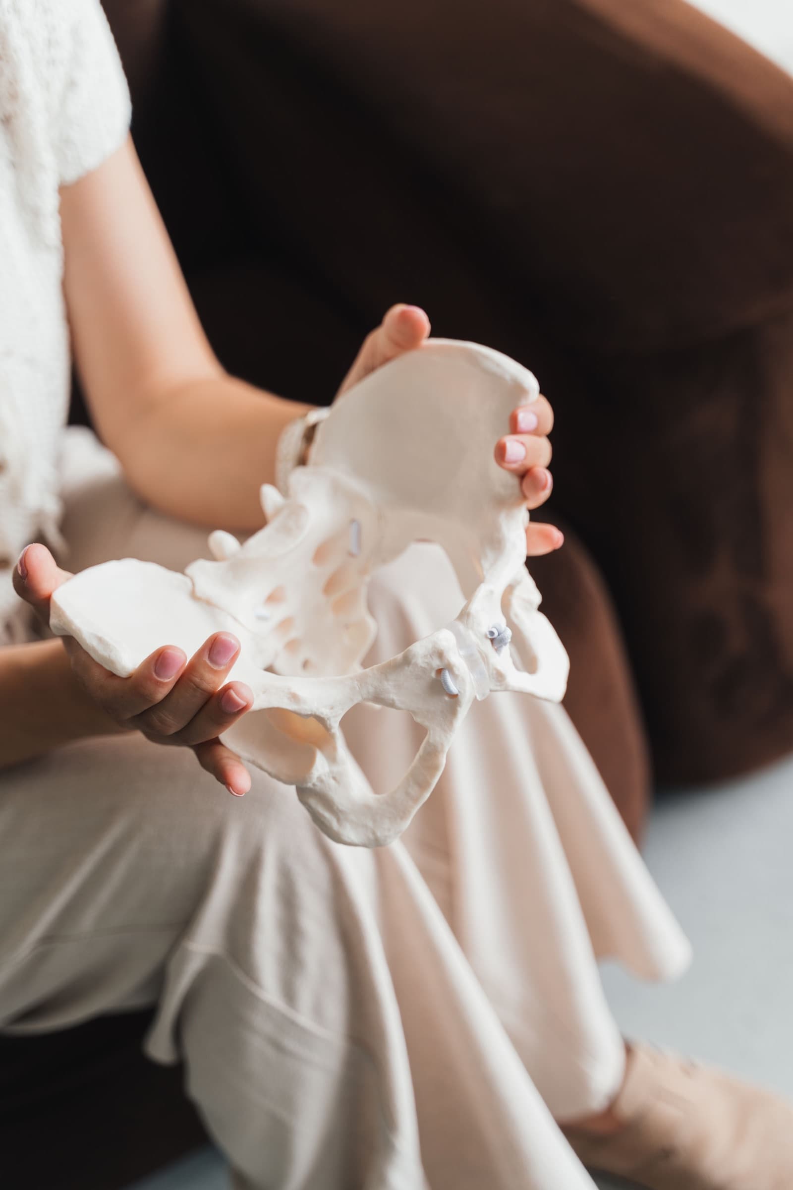 Close-up of Leoni's hands holding an anatomical pelvis model